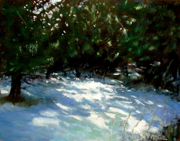 Pines in Winter, oil/panel, 8&quot;x10&quot;