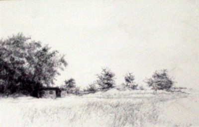 Tokaido #3, &quot;Chicken House, Willows, Orchard&quot;, ballpoint pen, 12&quot;x18&quot;