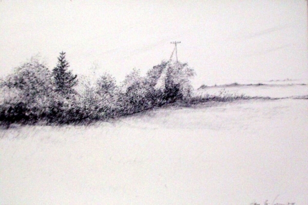 Tokaido#27, &quot;Line on Skinner Rd.&quot;, ballpoint pen, 12&quot;x18&quot;