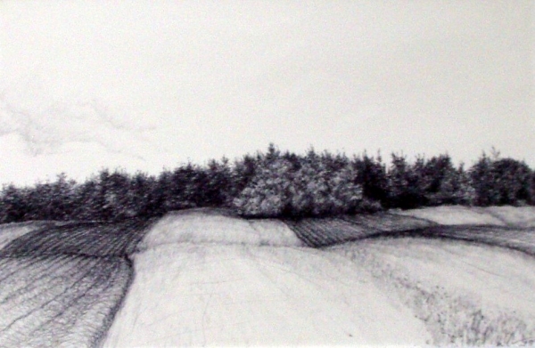 Tokaido#5, &quot;Fall Plowing, Darling Road&quot;, ballpoint pen, 12&quot;x18&quot;