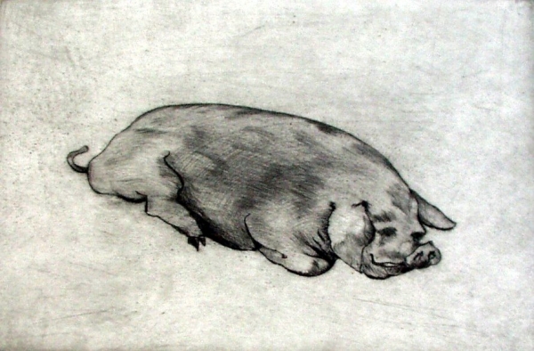 Fat Pig, drypoint, 5&quot;x7&quot;