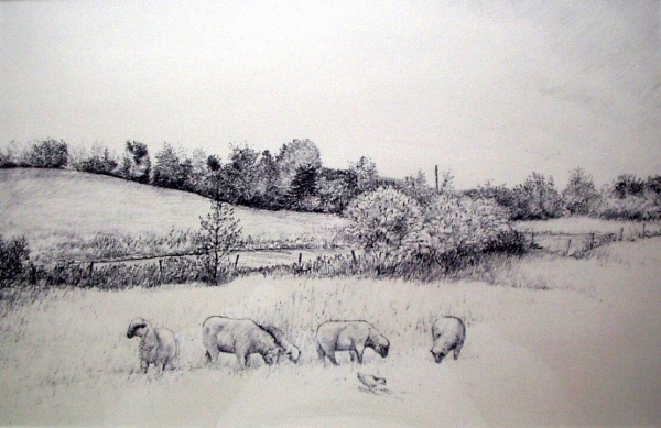 Tokaido #16, &quot;Barnyard, South&quot;, ballpoint pen, 12&quot;x18&quot;