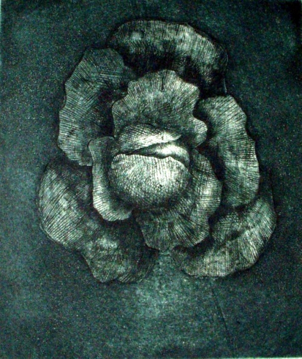 Black Cabbage, engraving/mezzotint, 9&quot;x8&quot;