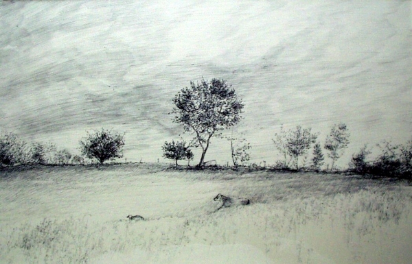 Tokaido#8, &quot;James&#039; Pasture with Thistle, Cow &amp; Calf&quot;, ballpoint pen, 12&quot;x18&quot;