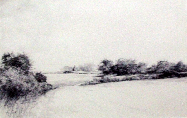 Tokaido#24, &quot;Orchard, Gap, Swale&quot;, ballpoint pen, 12&quot;x18&quot;