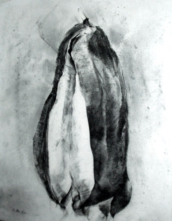 Giant Pod, charcoal, 26&quot;x20&quot;