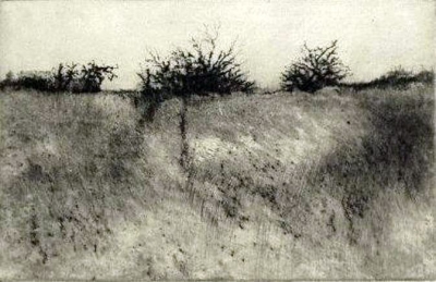 Orchard Unmowed, drypoint, 5&quot;x8&quot;