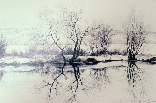 Tokaido#45, &quot;Pond on Rte. 89&quot;, ballpoint pen,12&quot;x18&quot;