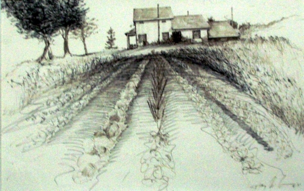 Missing Tokaido #1, &quot;First Farm, First Garden&quot;, ballpoint pen, 12&quot;x18&quot;