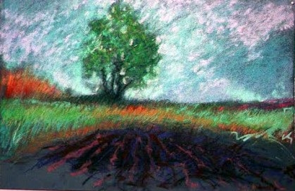 Garden with Tree, pastel, 14&quot;x20&quot;