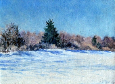 Clear Winter day with Spruce, oil on linen, 9&quot;x12&quot;